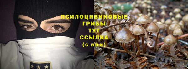 герыч Гусь-Хрустальный