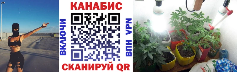 наркота  Димитровград  даркнет состав  Канабис гибрид 